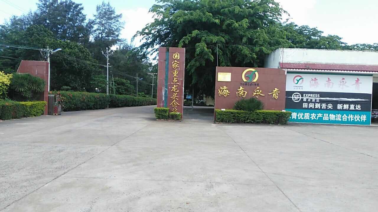 海南永青水稻服务中心