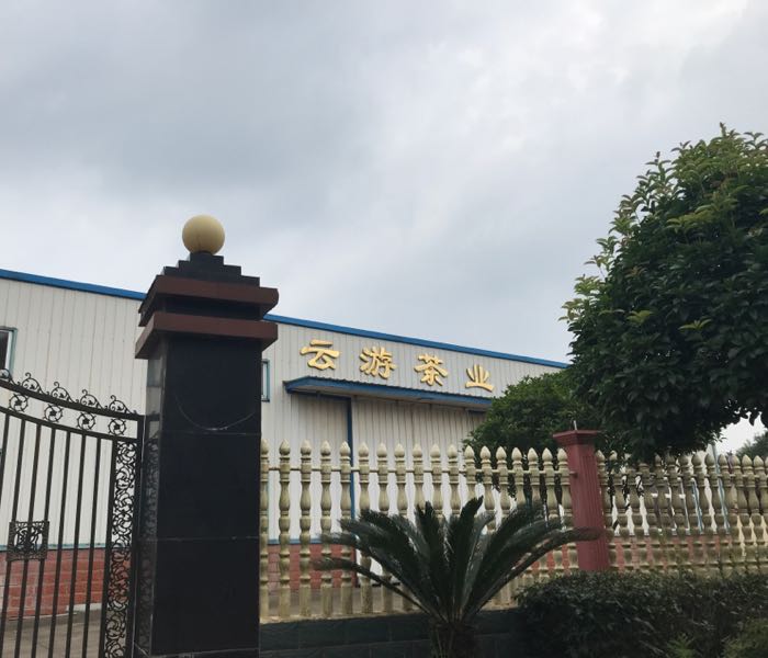 云游茶业