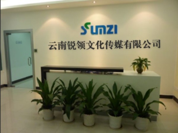 云南锐领文化传播有限公司
