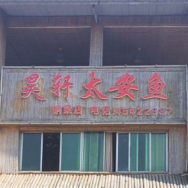 昊轩太安鱼