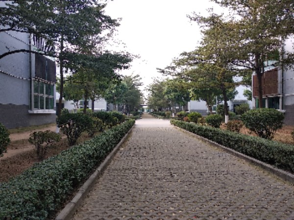 隆发鞋业公司