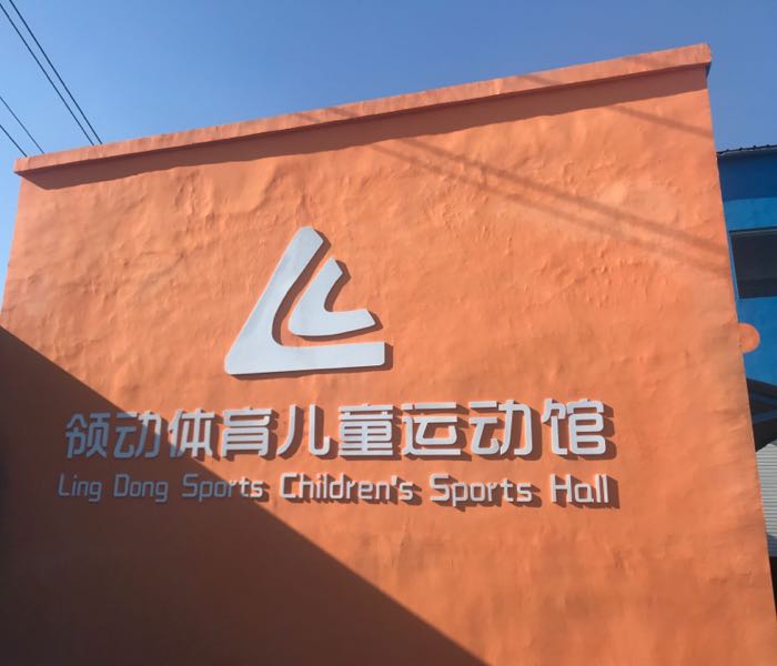 领动体育儿童运动会