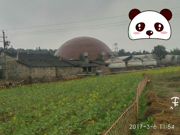 桂阳神龙蜂康养生态园