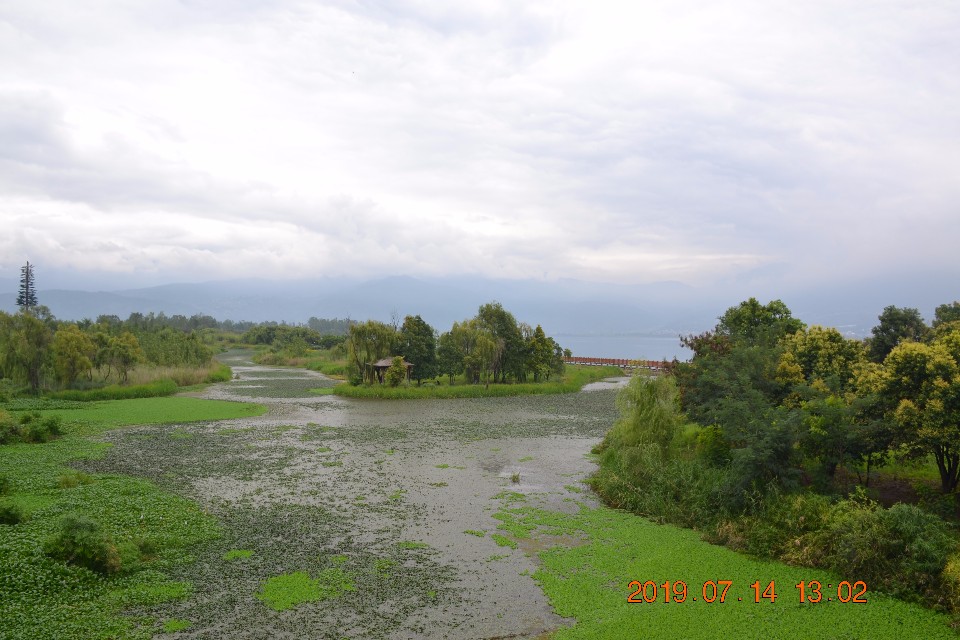 梦寻花海湿地公国