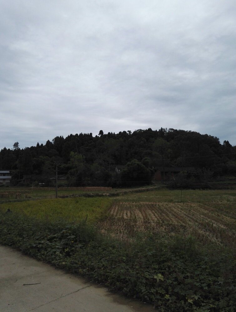 四川省绵阳市三台县芦跃路