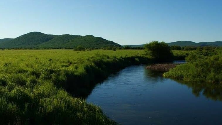 内蒙古乌奴耳长寿湖大厦家湿地公园