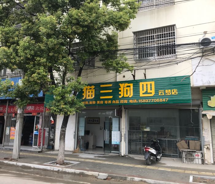 猫三狗四宠物店(云梦店)