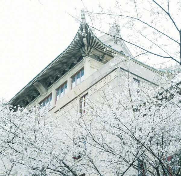 乐山市市中区纺织西路