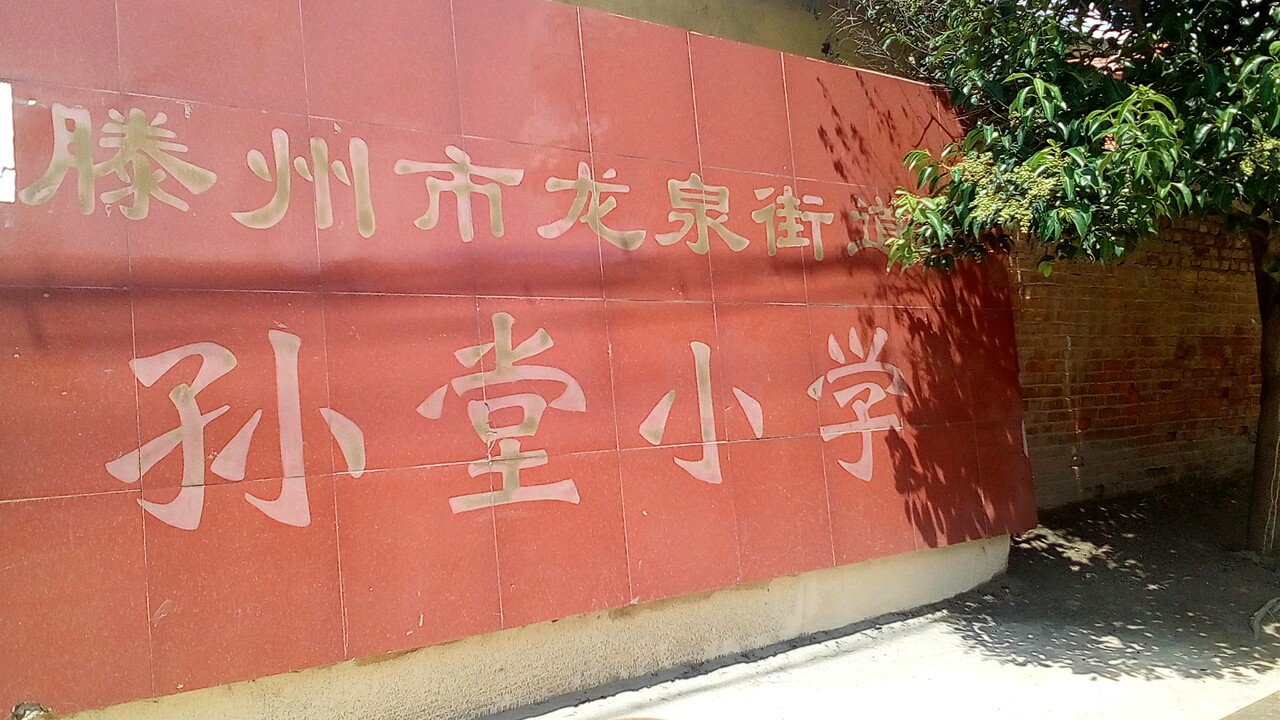 龙泉街道孙堂村滕州市龙泉街道孙堂小学附近