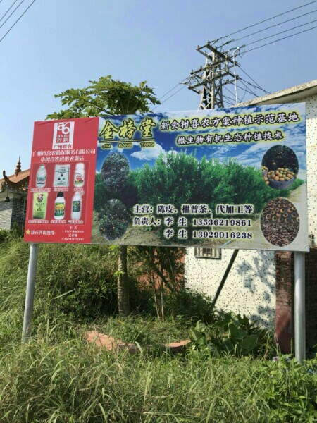 金榜堂新会柑喜农方案种植示范基地