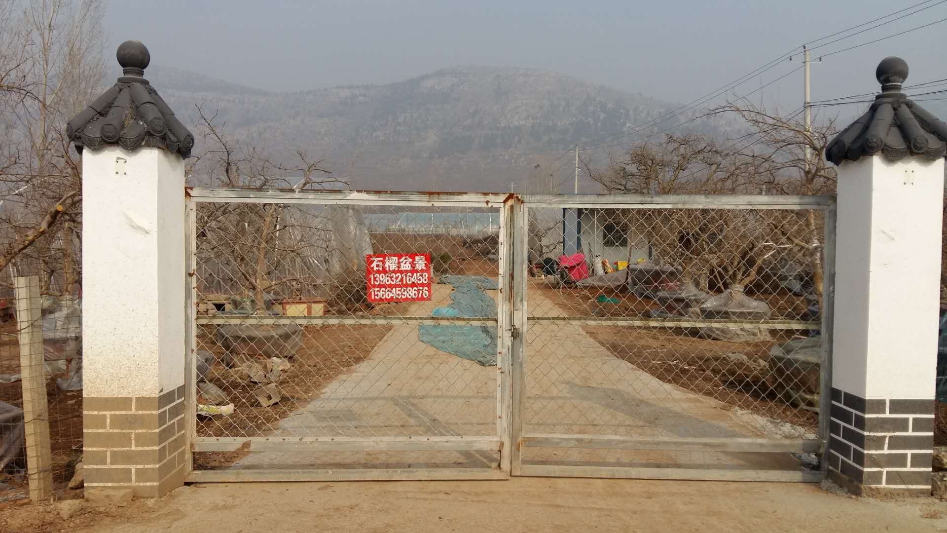 山东省枣庄市峄城区榴园镇和顺庄村榴花路