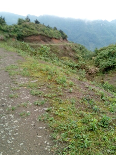 湖州市安吉县灵峰街道横山坞村