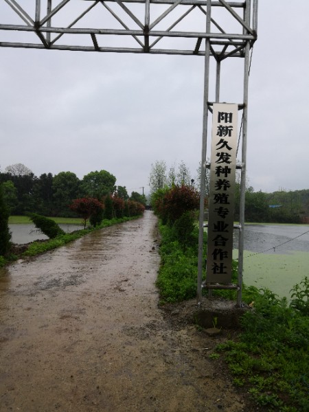 湖北省黄石市阳新县三溪镇田西村古上组