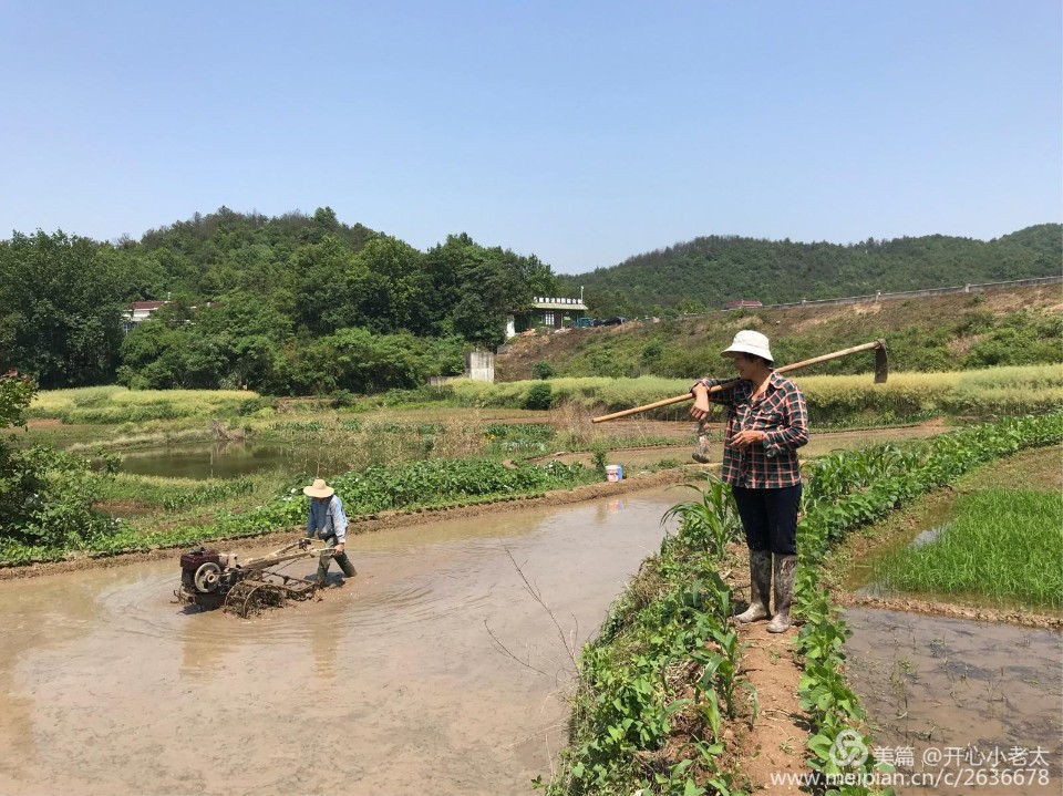 铜陵市枞阳县枞阳镇青龙村