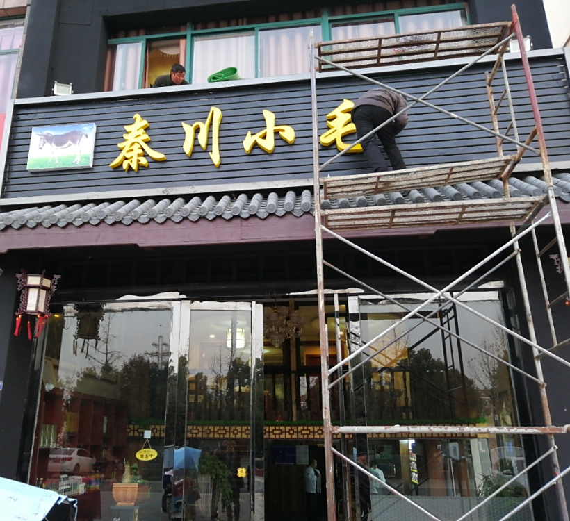 秦川小毛驴
