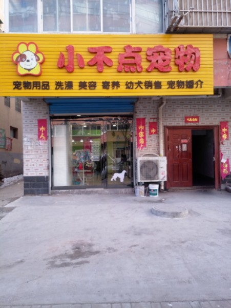 小不点宠物店