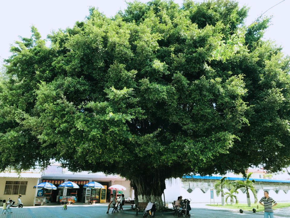 中海石油化学股份有限公司生活基地-南门