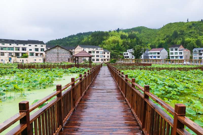 温州市泰顺县