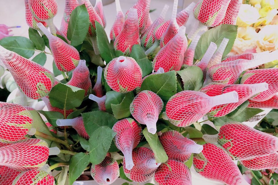 金吉花艺鲜花店