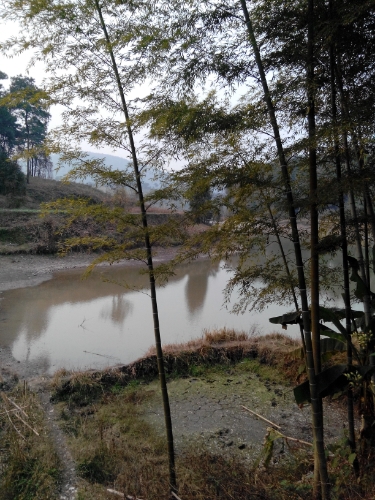 秀丰村明丰村地址:邵阳市洞口县丰阁村地址:邵阳市洞口县秀峰村地址