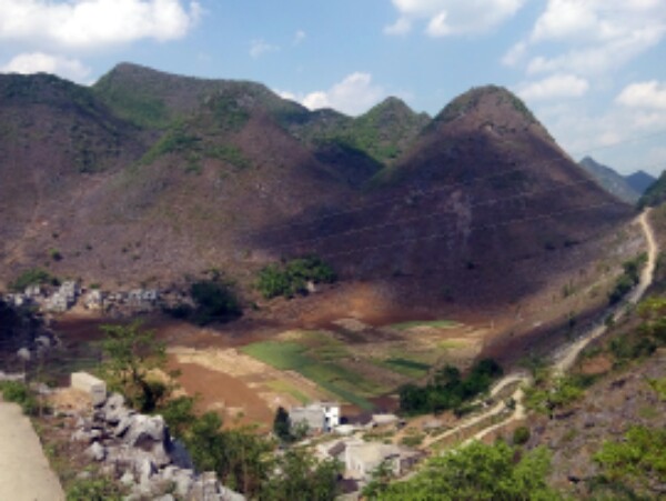 百色市隆林各族自治县