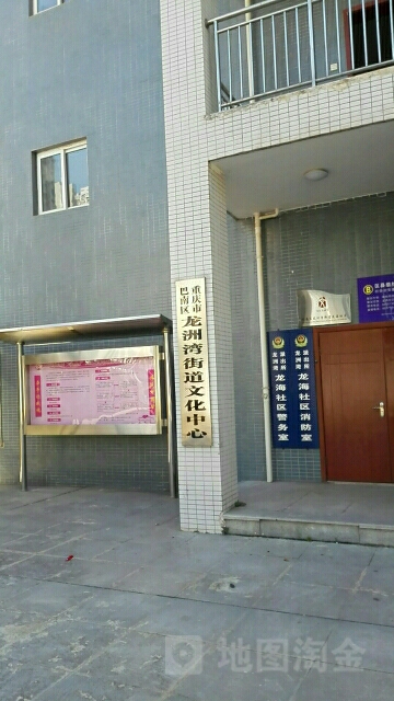 重庆市巴南区龙洲湾街道文化中心