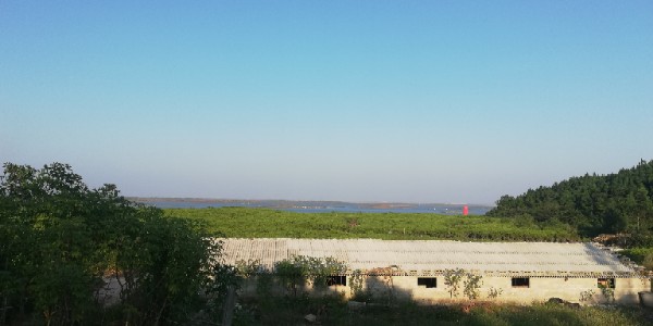 广西壮族自治区防城港市防城区茅岭乡大陶村