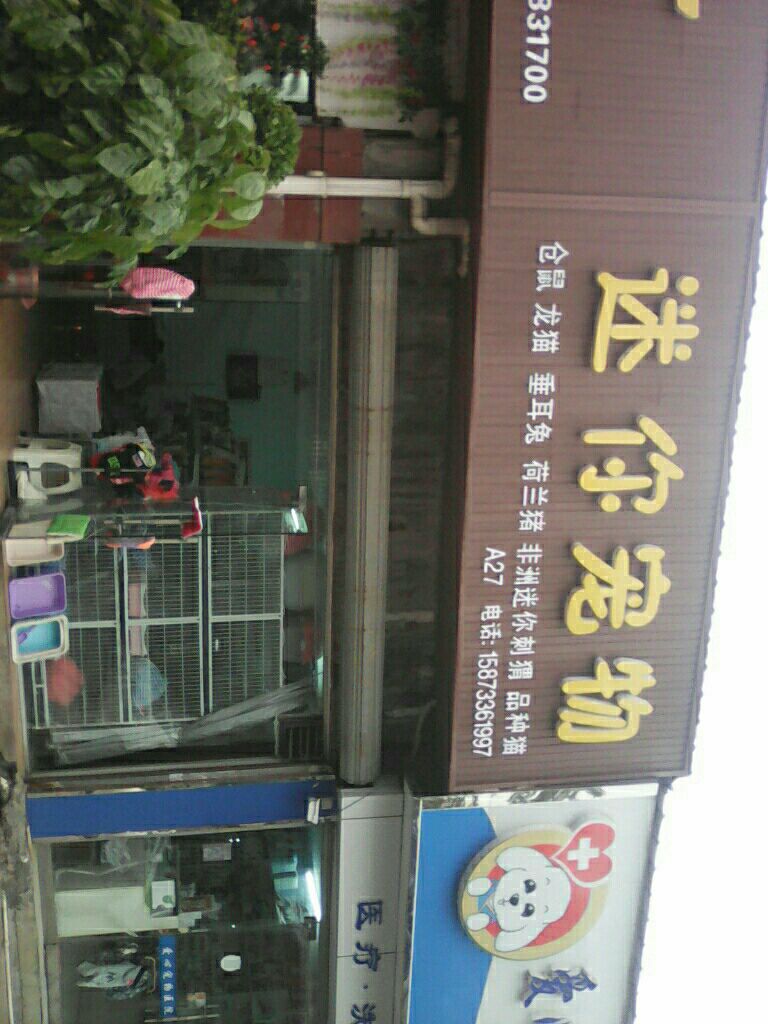 迷你宠物