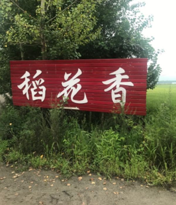 黑龙江省鸡西市城子河区