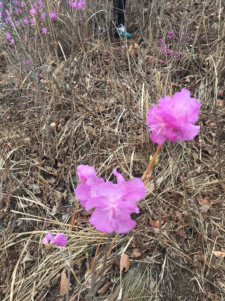 鞍山市岫岩满族自治县