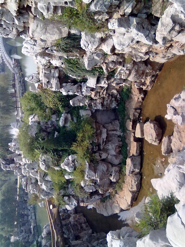 庞泉沟镇