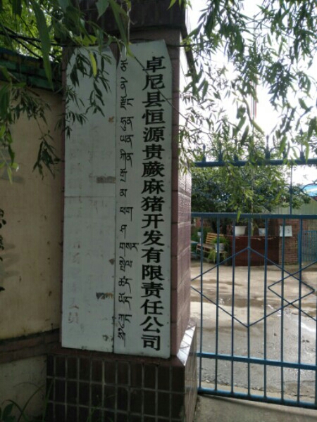 卓尼县恒源贵蕨麻猪开发有限公司