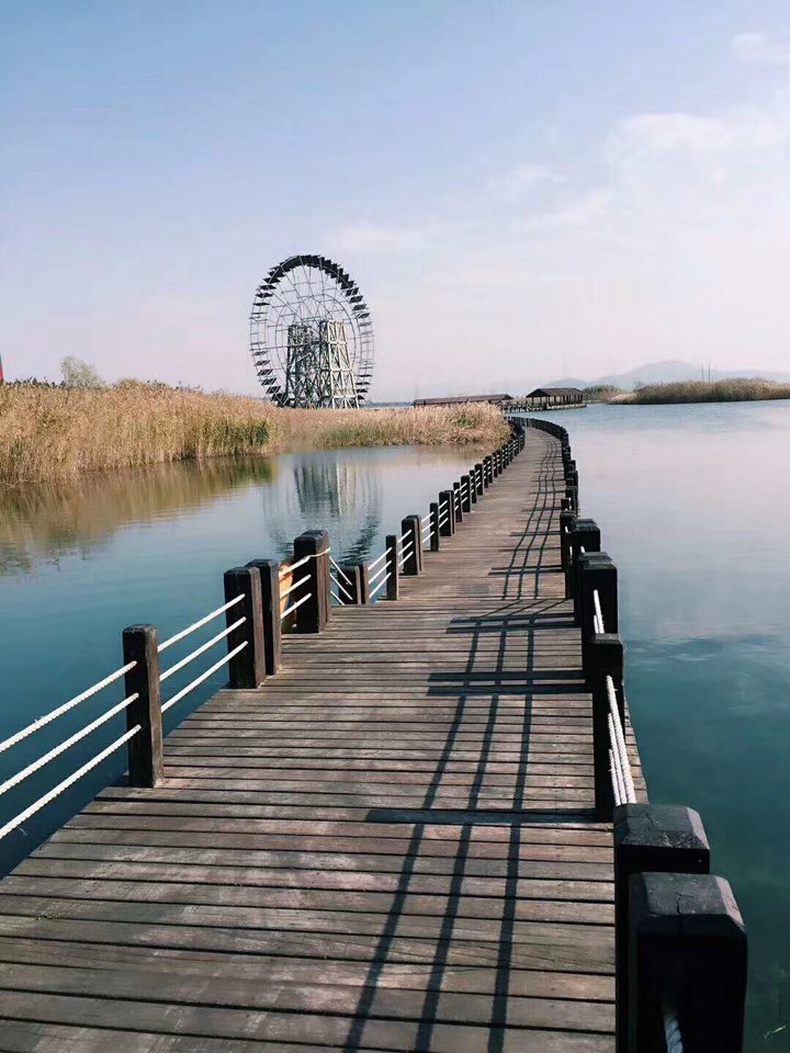 太湖之星水上摩天轮图片