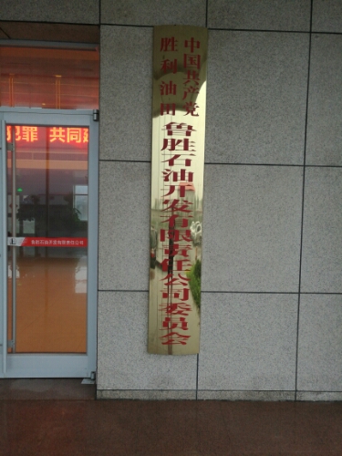 鲁胜公司