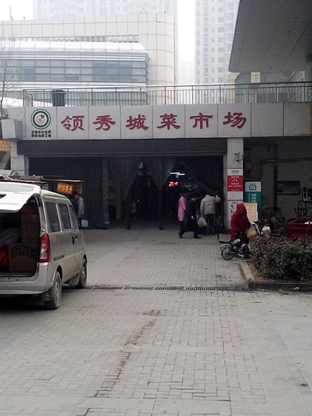 林硕烤鹅(鲁能领秀城店)