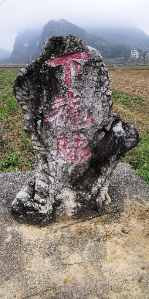 广西壮族自治区南宁市马山县古零镇杨圩村