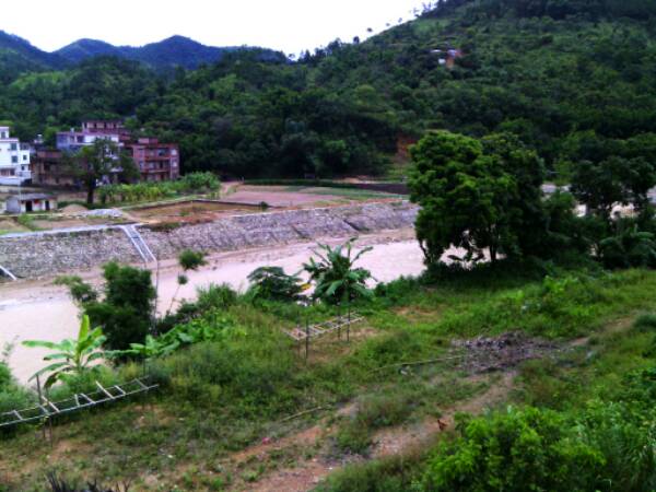 广东省茂名市高州市