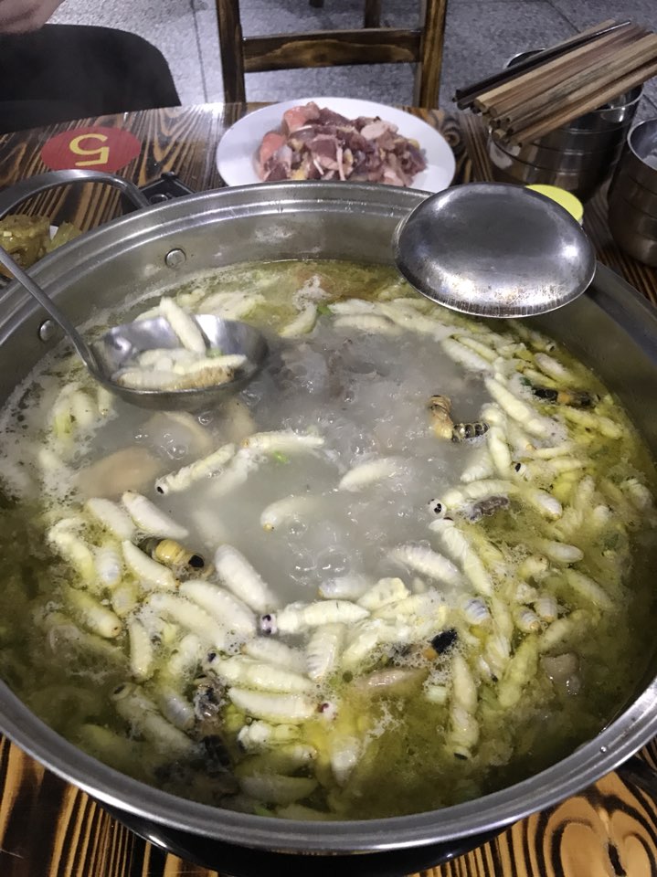 高田福泉生态鱼庄