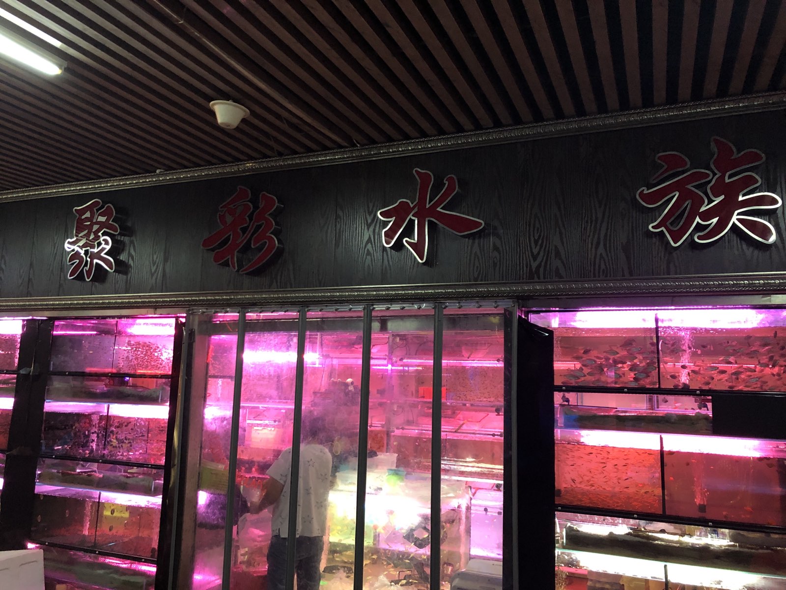 聚彩水zu