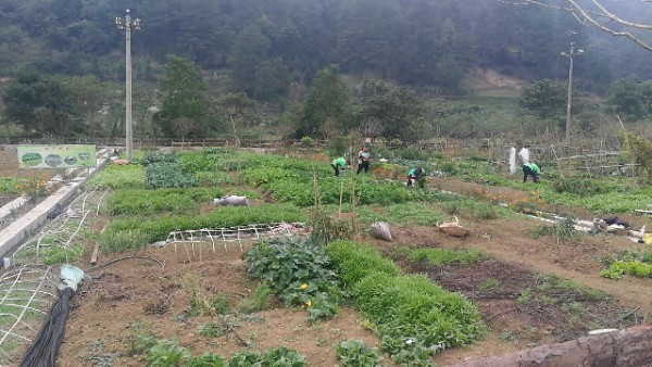 梳水岩休闲农业园