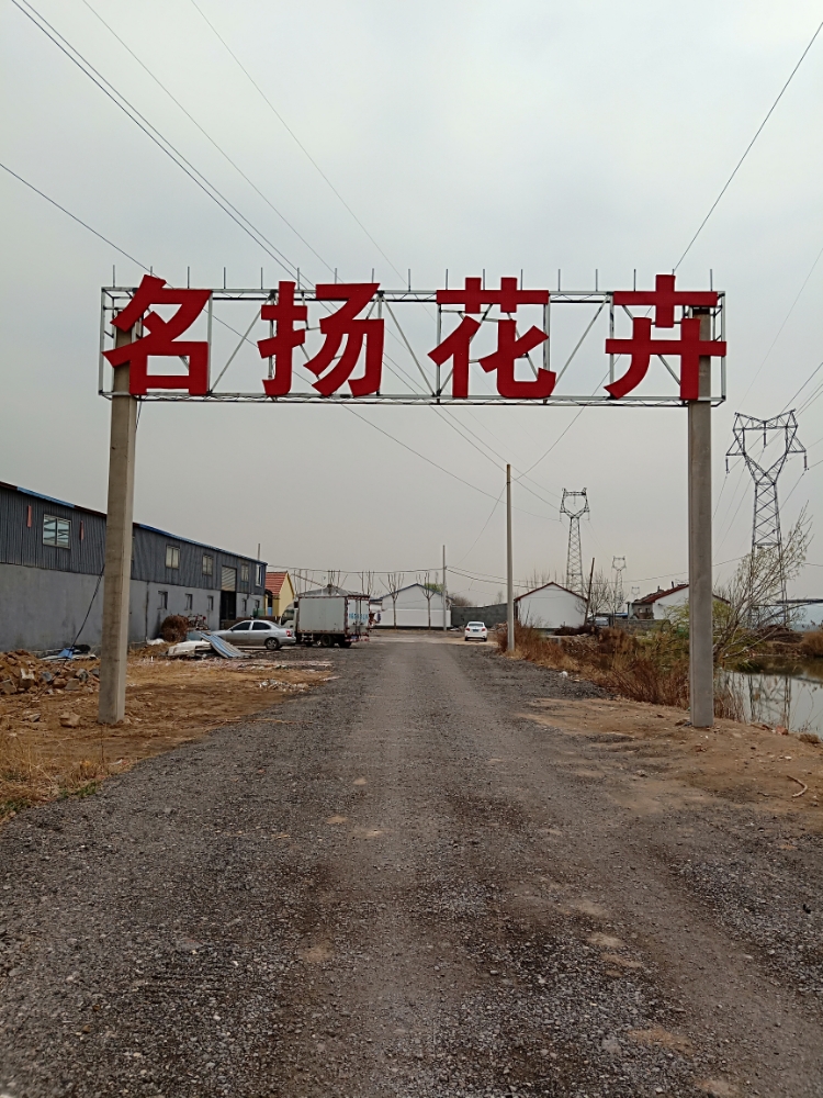 东营名扬花卉