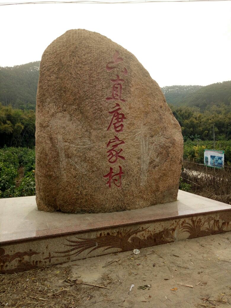 岑溪市万通水果专业合作社