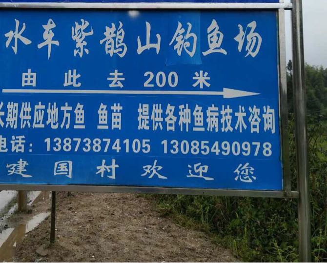 紫鹊山钓鱼场