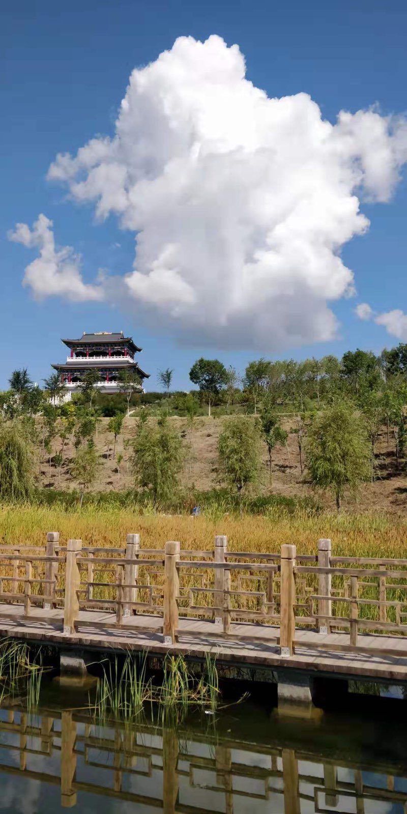 内蒙古自治区乌兰察布市卓资县红召乡