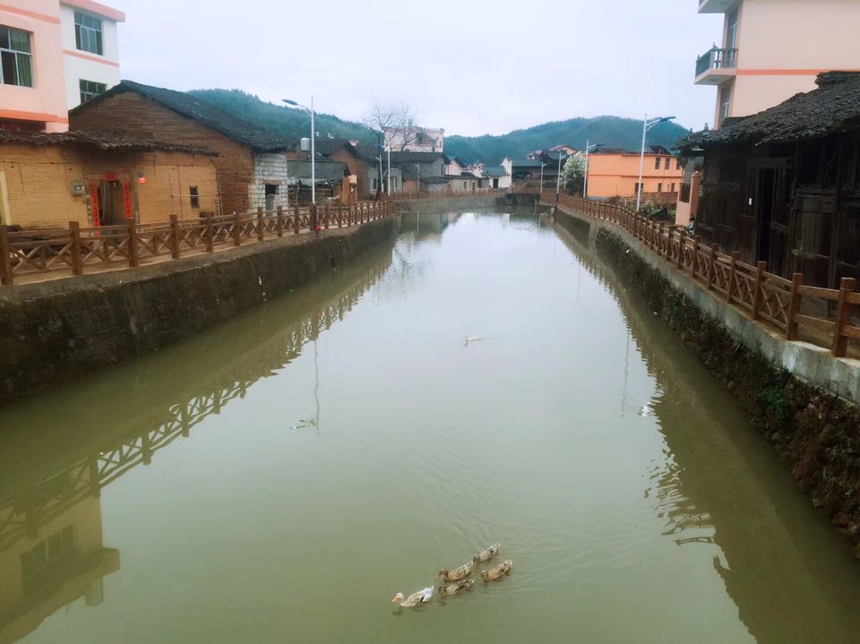 福建省南平市松溪县