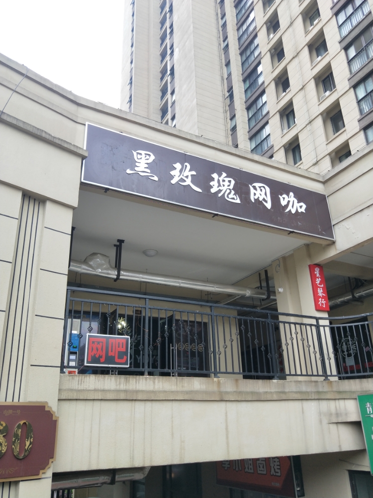 黑玫瑰王卡