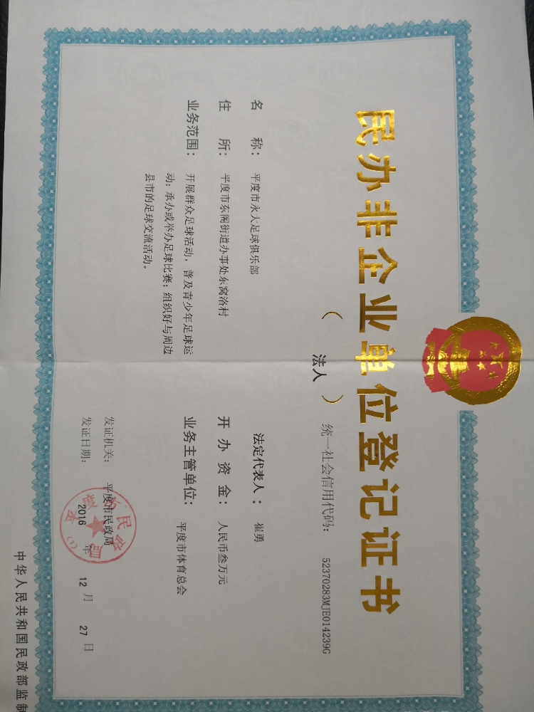 平度市永大足球俱乐部永大足球公园球场