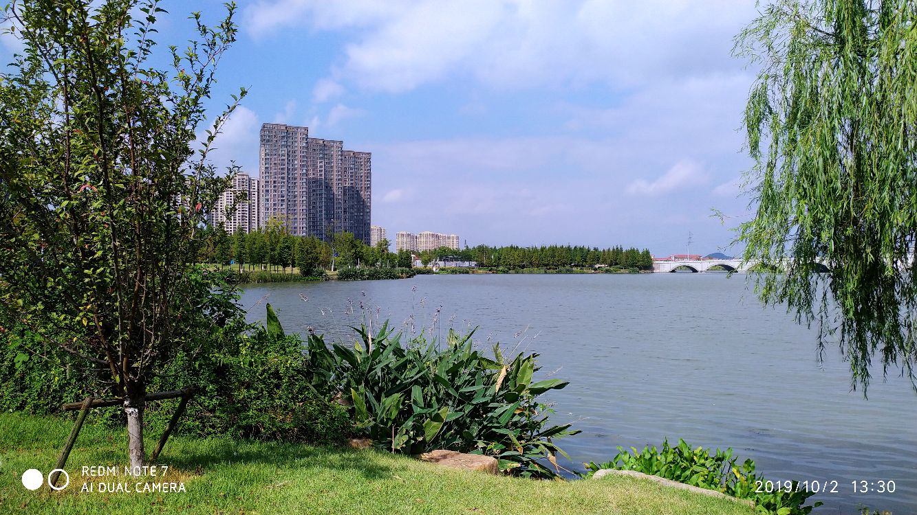 坂湖公园