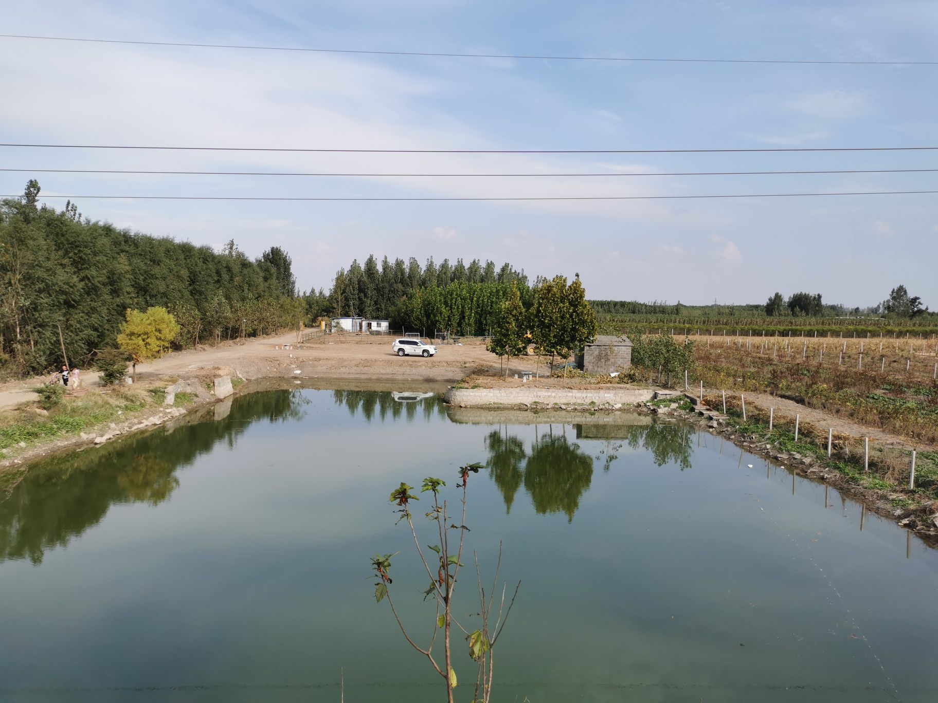 逸生休闲垂钓园