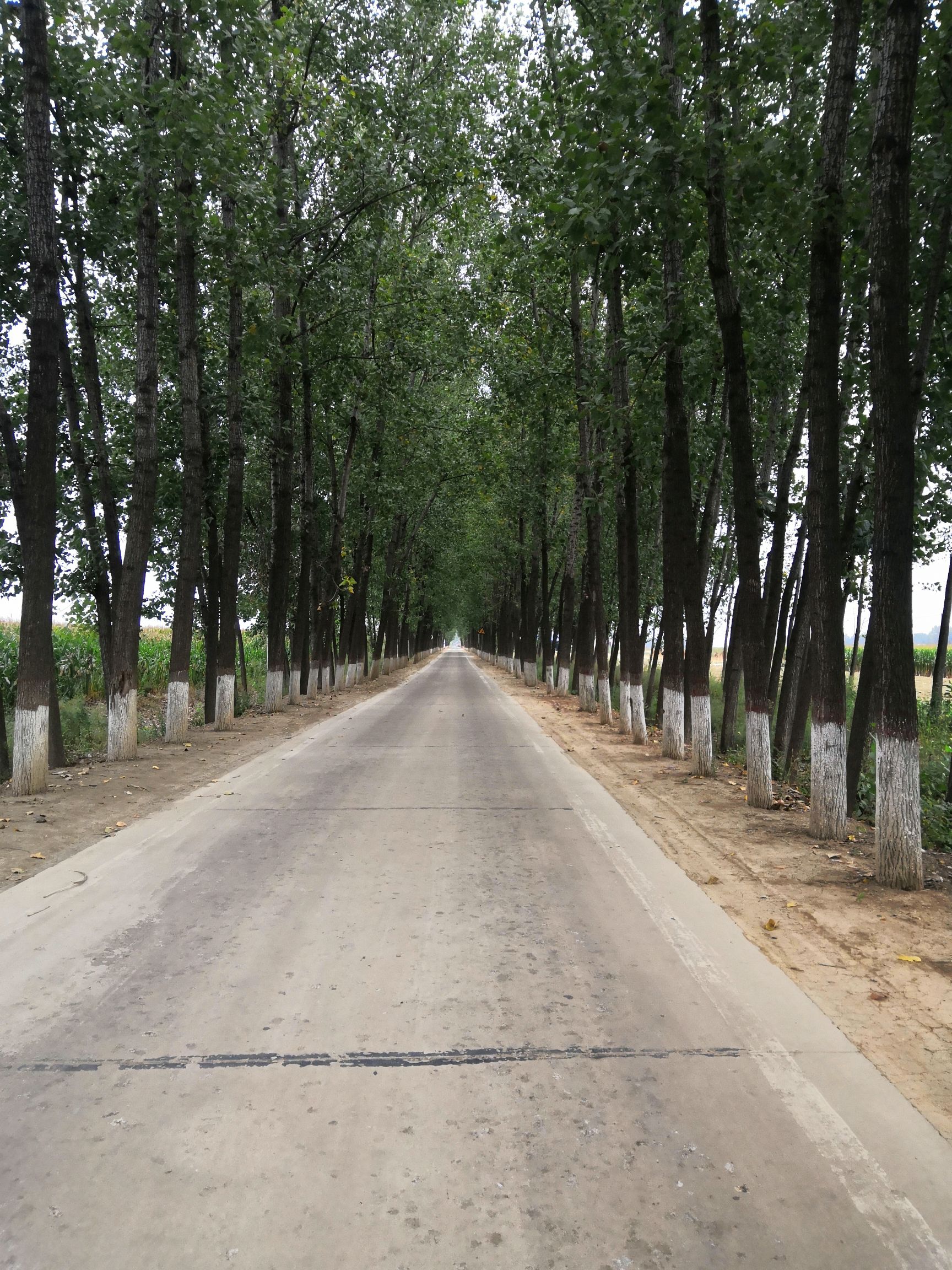 河南省驻马店市平舆县